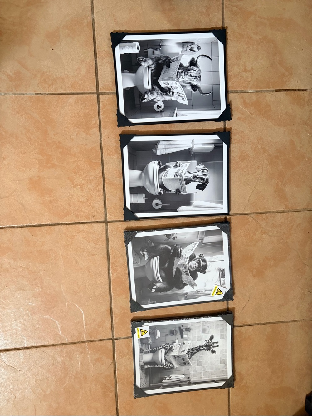 Amazon Black & White Animal Toilet Humour Wall Art Prints - Set of 4